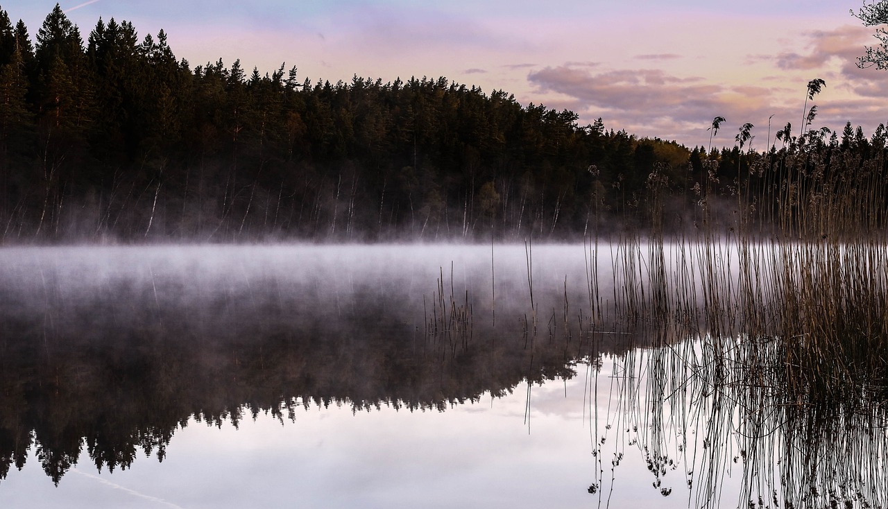 Sveriges storslagna natur: En oas för aktivitet och upptäckter
